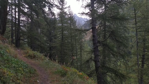 2022-09-03-Suffet-MontCenis-05 0