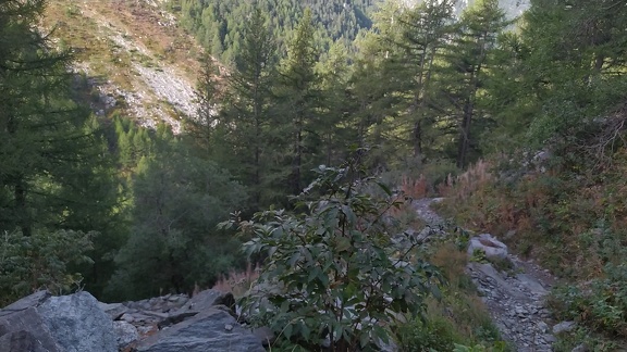 2022-09-03-Suffet-MontCenis-08 0