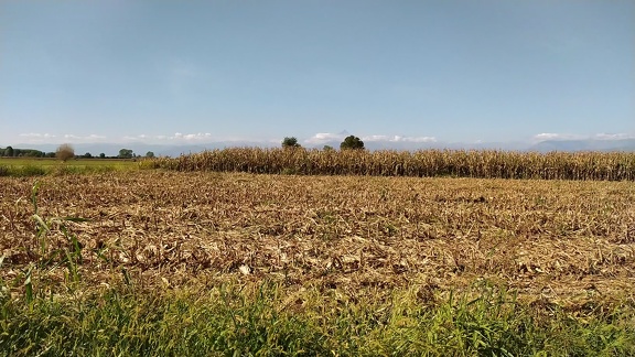 2022-09-11-None-Carignano-03 0