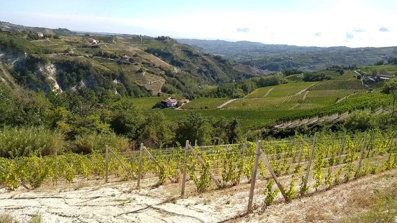 2022-09-17-Neive-Canelli-5