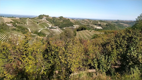2022-09-18-Canelli-Montabone-10