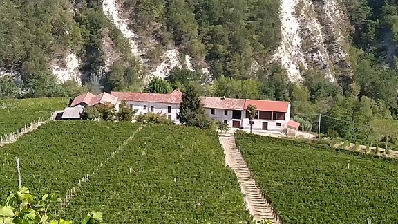 2022-09-17-Neive-Canelli-6