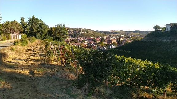 2022-09-18-Canelli-Montabone-1