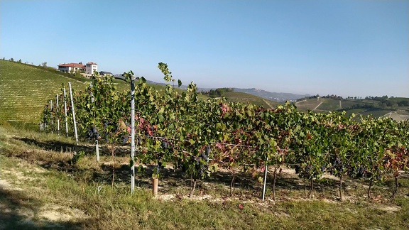 2022-09-16-Alba-Neive-02