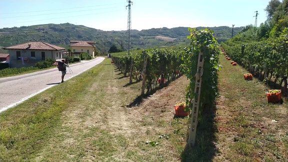 2022-09-17-Neive-Canelli-7