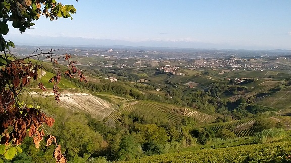 2022-09-17-Neive-Canelli-3