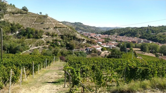 2022-09-17-Neive-Canelli-8