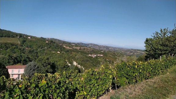 2022-09-18-Canelli-Montabone-3