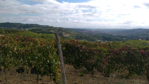2022-09-19-Montabone-AcquiTerme-22