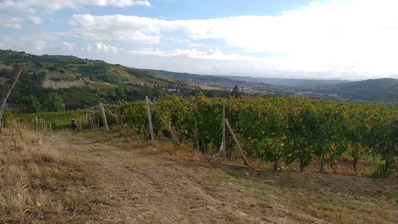 2022-09-19-Montabone-AcquiTerme-23