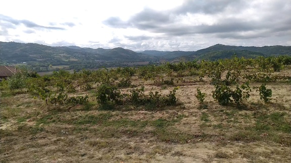 2022-09-19-Montabone-AcquiTerme-24