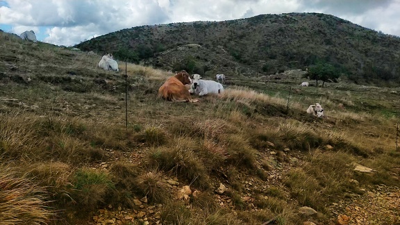 2022-09-27-Tiglieto-CampoLigure-13