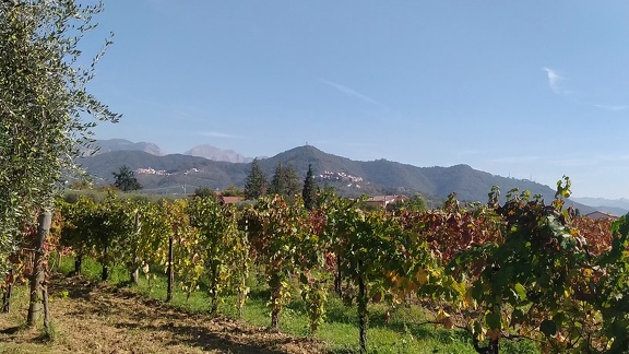 2022-10-07-Sarzana-Avenza-6