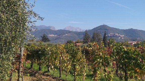 2022-10-07-Sarzana-Avenza-15