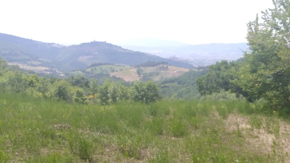 2023-06-20-Valfabbrica-Assisi-(11)