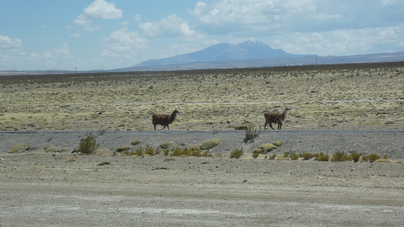 2018-10-19-Bolivie (Uyuni)-40.JPG