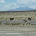 2018-10-19-Bolivie (Uyuni)-40