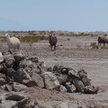 2018-10-19-Bolivie (Uyuni)-64