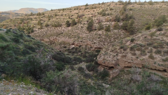 2025-04-09-SantaFe-Alboloduy- (13)
