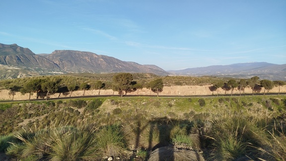 2025-04-09-SantaFe-Alboloduy- (21)