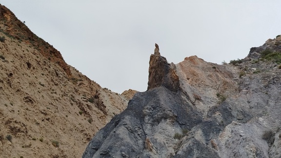 2025-04-10-Alboloduy-Nacimiento (8)