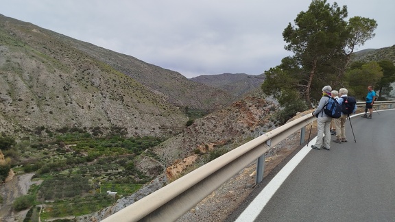 2025-04-10-Alboloduy-Nacimiento (9)