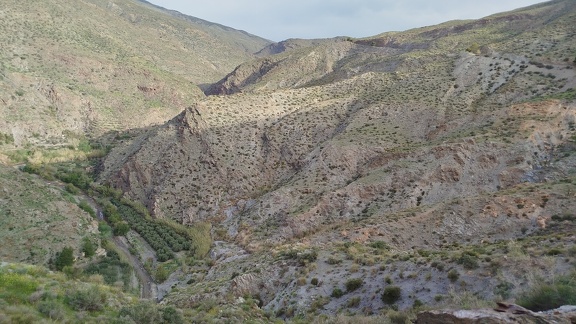 2025-04-10-Alboloduy-Nacimiento (11)
