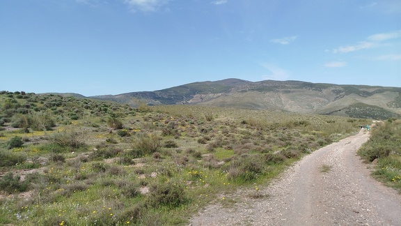 2025-04-10-Alboloduy-Nacimiento (20)