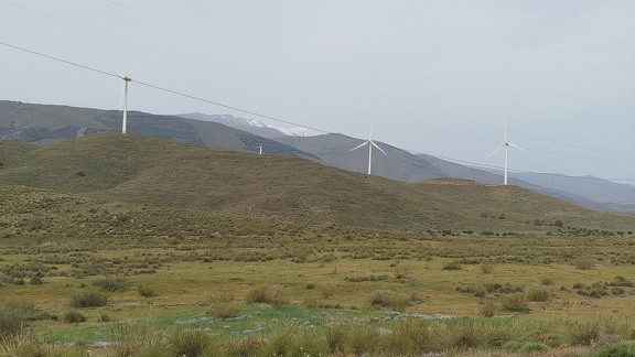 2025-04-11-Nacimiento-Abla (2)