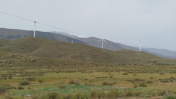 2025-04-11-Nacimiento-Abla (2)