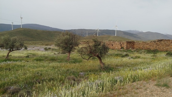 2025-04-11-Nacimiento-Abla (3)