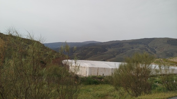 2025-04-11-Nacimiento-Abla (5)