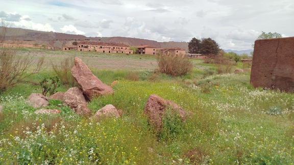 2025-04-13-Hueneja-Alquife (40)
