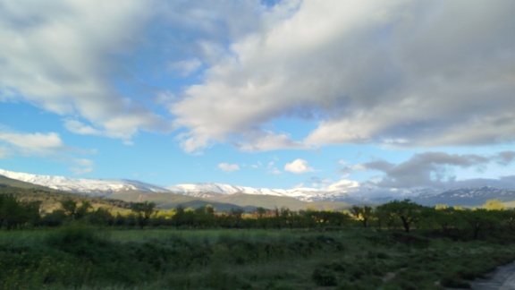 2025-04-14-Alquife-Cogollos (1)