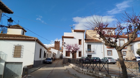 2025-04-14-Alquife-Cogollos (6)