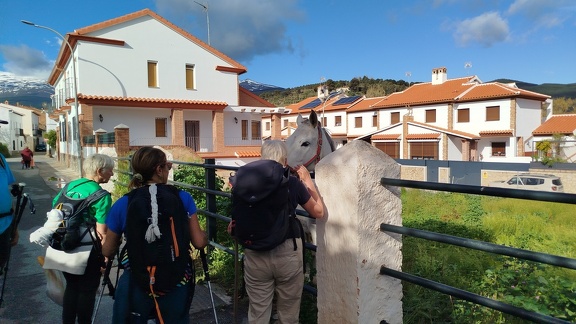 2025-04-14-Alquife-Cogollos (15)