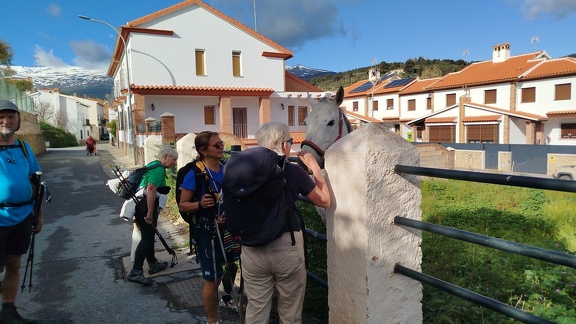 2025-04-14-Alquife-Cogollos (16)