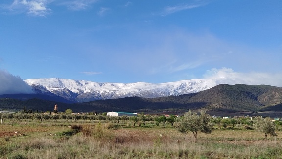 2025-04-15-Cogollos-Guadix (3)