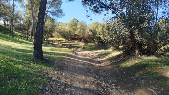 2025-04-17-Guadix-Graena (12)