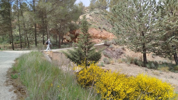 2025-04-17-Guadix-Graena (37)