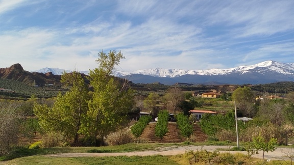 2025-04-18-Graena-LaPeza (1)