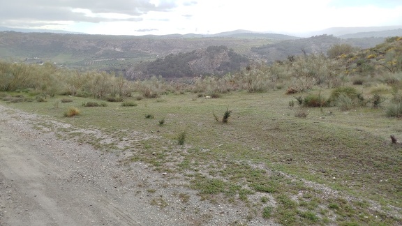 2025-04-19-LaPeza-Tocon (5)