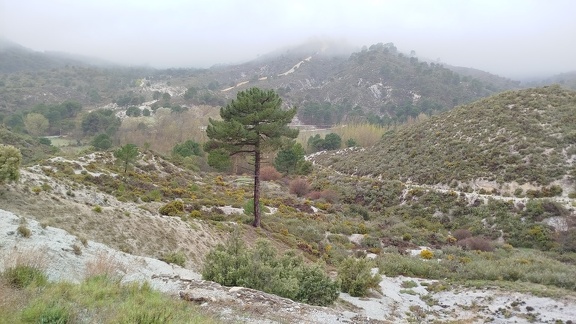 2025-04-19-Tocon-Quentar (13)