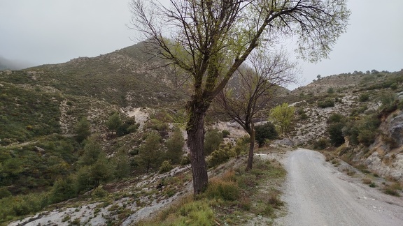 2025-04-19-Tocon-Quentar (14)