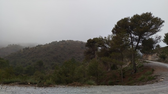 2025-04-19-Tocon-Quentar (21)
