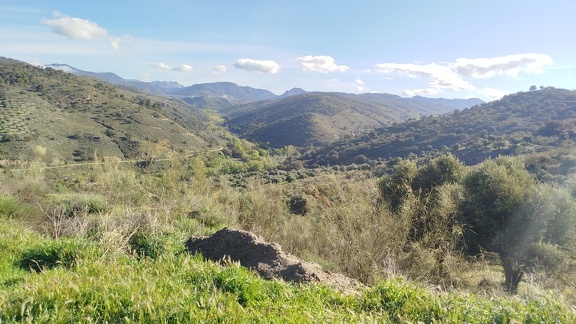 2025-04-21-Quentar-Granada (6)