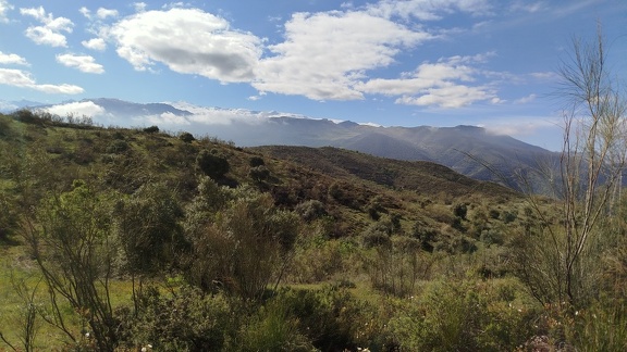 2025-04-21-Quentar-Granada (14)