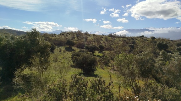 2025-04-21-Quentar-Granada (15)
