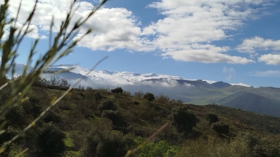 2025-04-21-Quentar-Granada (16)