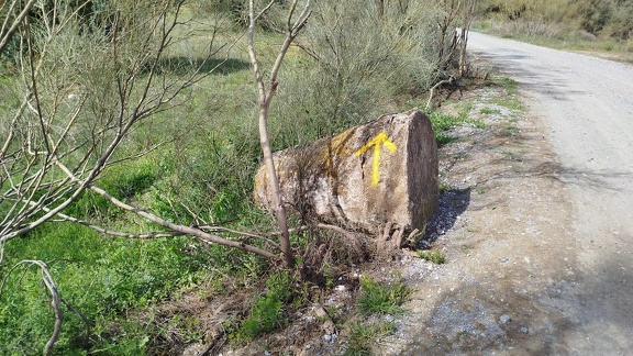 2025-04-21-Quentar-Granada (43)